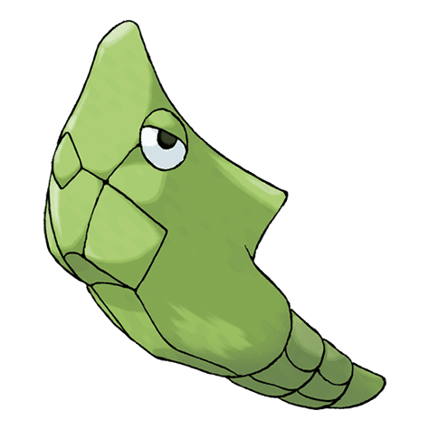 Image of metapod