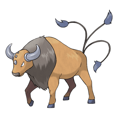 Image of tauros