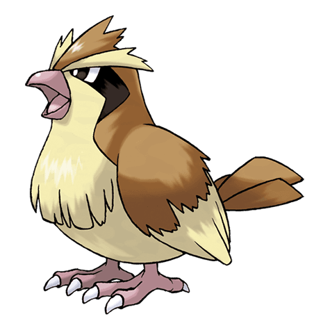 Image of pidgey