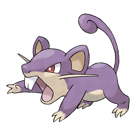 Image of rattata