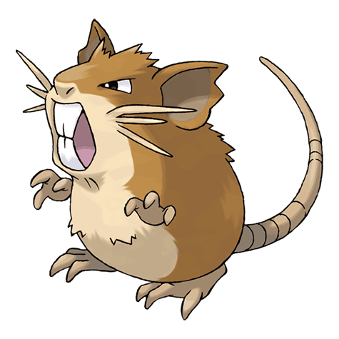 Image of raticate