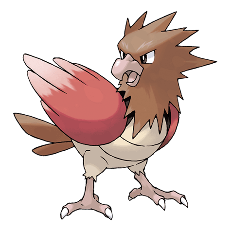 Image of spearow