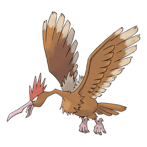 Image of fearow