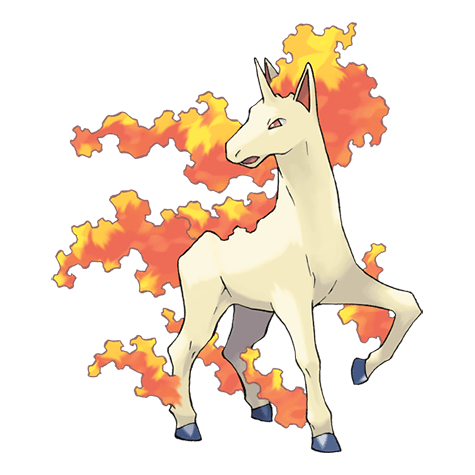 Image of rapidash