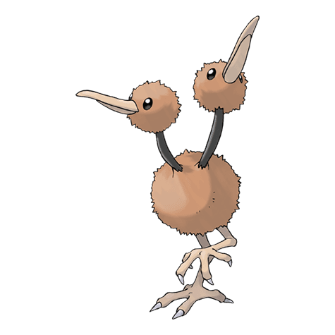 Image of doduo