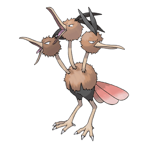 Image of dodrio